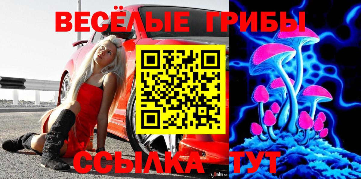 Изобильный  Псилоцибиновые грибы Psilocybine cubensis  Вход с VPN  Псилоцибиновые грибы Cubensis 