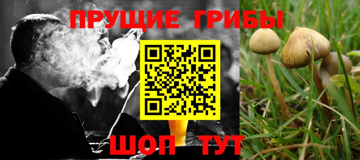 Галлюциногенные грибы мицелий Изобильный